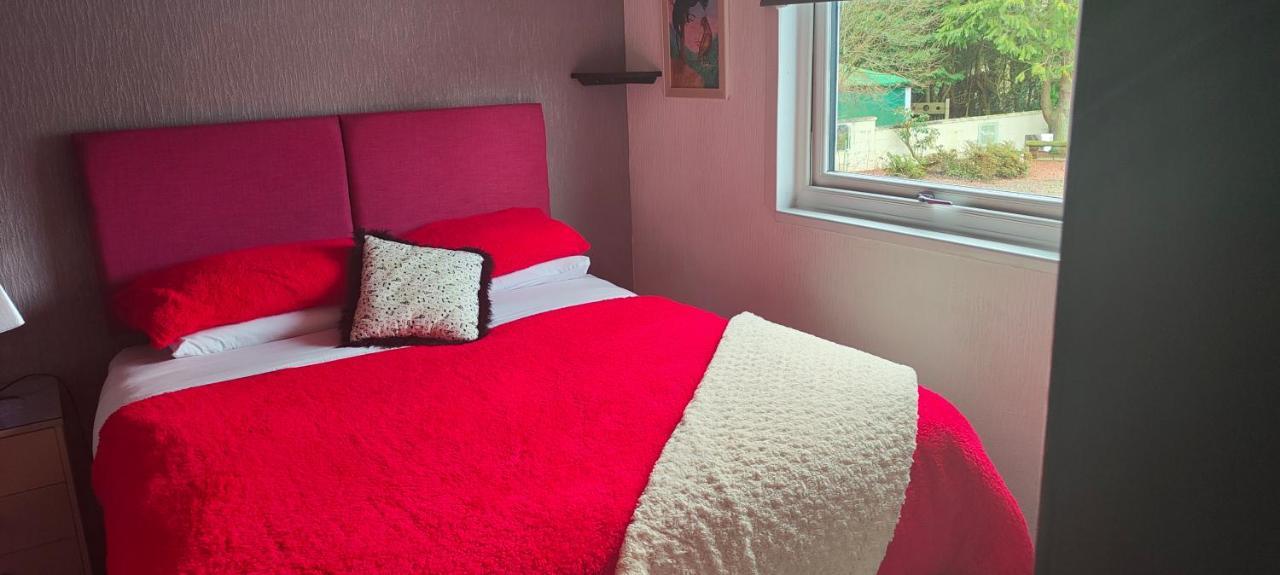 The Cabin Quiet Relaxing And Dog Friendly Mauchline Dış mekan fotoğraf